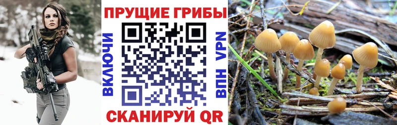 Галлюциногенные грибы мицелий Малгобек